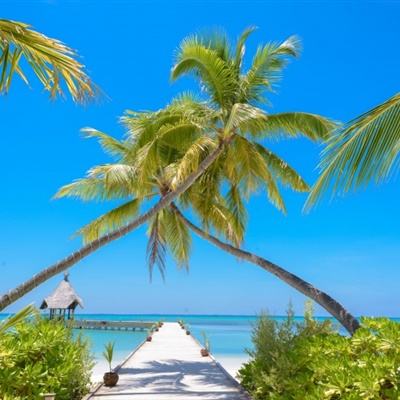 bob·体育综合app手机app下载