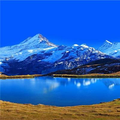 722cc彩票app下载