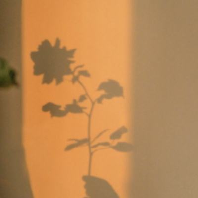 台湾福星彩手机app下载截图