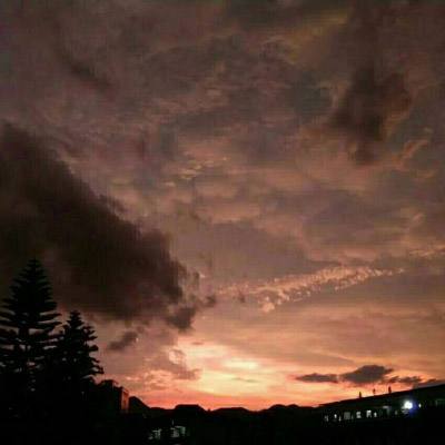 金年会娱乐app官方网站