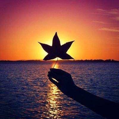 BET365正版唯一官网绿色