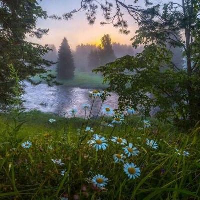 帝一娱乐手机app下载