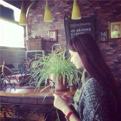 pg麻将胡了下载手机app下载